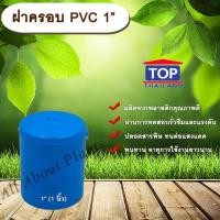 ราคา ฝาครอบ PVC ตรา TOP 1”(1นิ้ว) ฝาครอบท่อPVC ขนาด 1นิ้ว ตัวอุดท่อ ฝาปิดท่อพีวีซี allaboutplants (5518238803)