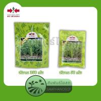 ราคา ขึ้นฉ่ายนวลจันทร์ เมล็ดพันธุ์ขึ้นฉ่าย นวลจันทร์ ตราศรแดง ปริมาณ 50 / 350 กรัม (22584785639)