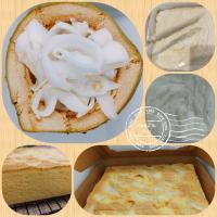 ราคา ชิฟฟ่อนมะพร้าวอ่อน chiffon coconut young (8772227875)