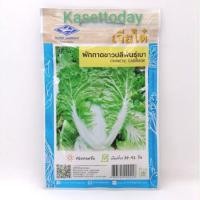 ราคา เมล็ดผักกาดขาวปลีพันธุ์เบา(CHINESE​ CABBAGE)​ เมล็ดผักซองเจียไต๋​ ขนาด​ 10​ g. (9032971597)