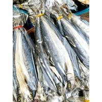 ราคา ปลาสีเสียด ปลาสีเสียดเค็ม ปลาทะเลตากแห้ง เนื้ออร่อย ไม่เค็มมาก (40072286191)