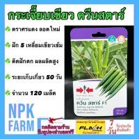 ราคา ศรแดง กระเจี๊ยบเขียว ควีนสตาร์ หมดอายุ 02/01/2570 จำนวน 120 เมล็ด โตเร็ว ฝัก 5 เหลี่ยม สีเขียวเข้ม (25635349920)