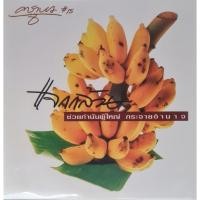 ราคา แผ่นเสียง วง คาราบาว "WEA" (43453603535)