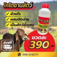 ราคา ส่งฟรี ‼️หงส์ทองไคโตซาน (ฝาสีแดง) เร่งโต อ้วนไว ผสมติดง่าย เป็นสัดชัดเจน เช็ต 1 ขวด บรรจุ 1 ลิตร 390 บาท (20247342607)