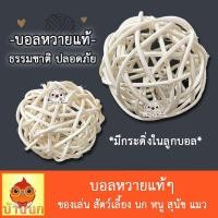 ราคา บอลหวาย มีกระดิ่ง ของเล่นนก ของเล่นแมว ของเล่นสัตว์เลี้ยง (13794572806)