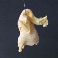 ราคา โมเดล ไก่ปลอม ไก่เรซิ่น ไก่ต้มปลอม โมเดลไก่ ไก่เทียม ไก่จำลอง ไก่ตอนปลอม (43522381181)