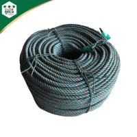 ราคา เชือกไนล่อนขนาด 7 มม. ยาวประมาณ 200 เมตร เชือกไนล่อนขี้ม้า เชือกเขียวขี้ม้า ขนาด 7 มม. ยาวประมาณ 200 เมตร (1 ม้วน) สีเขี (3757254285)