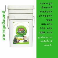 ราคา อาหารลูกป้อนนกแก้ว แบบแบ่งขาย (7424655773)