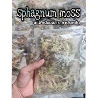 ราคา ถุง 6x9 นิ้ว สแฟ็กนั่มมอส​ นำเข้า sphagnum moss ใช้เลี้ยง ไฮโซพอต Isopod ด้วง ปลูกกล้วยไม้ ทำสวนขวด พืชสวยงาม 9ล9 (9366367188)