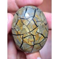 ราคา โมราเกล็ดมังกรธรรมชาติ (56654018728)