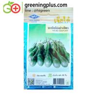 ราคา มะเขือไข่เต่าเขียว (Round Eggplant) เจียไต๋ (43323274297)