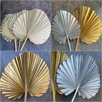 ราคา ใบตาลแห้ง ใบตาลธรรมชาติ ใบตาลสี คละไซต์ (21852785223)