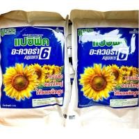ราคา ทานตะวัน ดอกใหญ่ แปซิฟิก อะควอร่า6 ดอกใหญ่ 1 kg ล๊อตใหม่(อายุ 8/69) (1447934981)