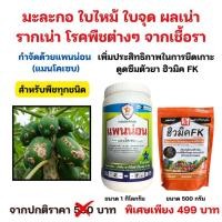 ราคา มะละกอ ใบไหม้ ใบจุด ผลเน่า รากเน่า โรคพืชต่างๆจากเชื้อรา กำจัดด้วยแพนน่อน และฮิวมิค FK (29724203452)