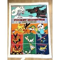 ราคา ✨สินค้ามือหนึ่ง✨ SALE‼️ผ้าห่มผ้าขนหนู Pokemon⚡️ ผืนใหญ่ (นำเข้าจากญี่ปุ่น) (7394593300)