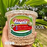 ราคา สาคูต้น สาคูต้นแท้ สาคูต้นพัทลุง สาคูแท้จากต้น อร่อย (7995304168)