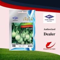 ราคา ผักซองตราเจียไต๋ เมล็ดมะเขือเปราะซุปเปอร์ตอแหล01 เมล็ดพันธุ์มะเขือ #ขายเมล็ดพันธุ์ #ขายส่งเมล็ดพันธุ์ #มะเขือเปราะ (5359048974)