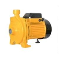 ราคา CAPITAL รุ่น CPT-50 ปั๊มหอยโข่ง 1 นิ้ว 0.5 แรง ใบพัดอลูมิเนียม ปั๊มน้ำไฟฟ้า แคปปิตอล ปั้มหอยโข่ง ปั๊มน้ำ หอยโข่ง 0.5HP (24712310869)