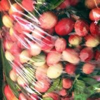 ราคา มะม่วงหาว มะนาวโห่ กินสดได้ ดองได้ (3626193704)