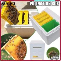 ราคา ซูกิจิ คนเลี้ยงผึ้ง สวนกล่องผสมเกสร,กล่องผึ้งผสมกล่องโฟมผึ้งได้ยินกล่องราชินีผึ้งพันธุ์,อุปกรณ์การเลี้ยงผึ้งกันน้ําผึ้งบ (48604322944)