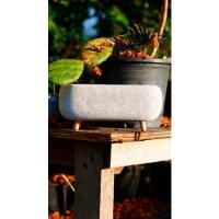 ราคา Katombimai กระถางรักษ์โลก กระถางอิฐมวลเบา B08#กระถาง กระถางต้นไม้ อิฐมวลเบา กระบองเพชร แคคตัส (5678351772)