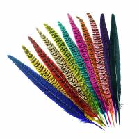 ราคา 10 ชิ้นไก่ฟ้าขนนก Centerpieces สําหรับตกแต่งงานแต่งงาน Fly Tying วัสดุหัตถกรรมอุปกรณ์เสริมผม Extension Home Craft (53103021936)