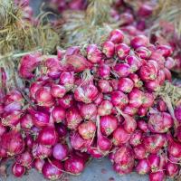 ราคา หอมแดงศรีสะเกษ เครื่องเทศ ขนาดครึ่งกิโล หอมแดงศรีสะเกษ แห้งมัดจุด,คุณภาพและราคาถูก 500g (57352064874)