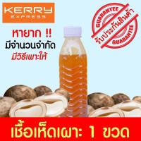 ราคา เชื้อเห็ดเผาะ เห็ดถอบ ชนิดน้ำฮอร์โมน สูตรเข้มข้น เพาะง่าย หายาก (6816943869)