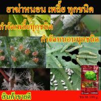 ราคา สูตรแรง! หัวแลนเนท เมโทรมิล 90% กำจัดหนอน เพลี้ย แมลง หนอน เพลี้ยไฟ เพลี้ยกระโดด ด้วงหมัด ขนาด 100 กรัม (21939205957)