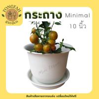 ราคา กระถางต้นไม้ สีขาว 10 นิ้ว กระถาง กระถางมินิมอล พร้อมจานรอง กระถางสีขาว กระถางต้นไม้สีขาว กระถางพลาสติก กระถางต้นไม้ (11923384856)