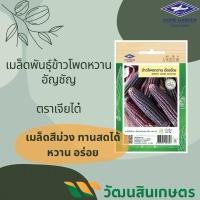 ราคา เมล็ดพันธุ์ข้าวโพดหวานสีม่วง อัญชัญ ตราเจียไต๋ (6618548890)