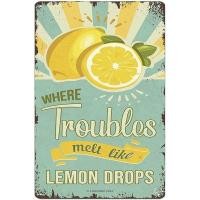 ราคา Where Troubles Melt Like Lemon Drops Vintage Metal Tin Sign Retro Lemon Print Art Tin Signs Home Decor Kitchen Garden Bar 12""x8"" Metal Sign (52403963187)