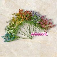 ราคา ช่อยิปโซ ช่อแซม ดอกขาว ยิปโซฟิลล่า พร้อมส่ง (41200095639)