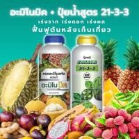 ราคา อะมิโนมิค + ปุ๋ยน้ำ 21- 3 -3 ตราเทพมงคล เร่งราก เร่งการเติมโต ฟื้นฟูลำต้น #สูตรปุ๋ยเร่งต้นไม้ให้โตเร็ว (24488839627)