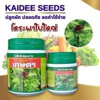 ราคา เมล็ดโหระพาเกษตร ตราเสือดาว เมล็ดพันธุ์โหระพา โหระพาใบใหญ่ เมล็ดโหระพาใบใหญ่ (28418077586)