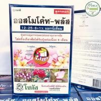 ราคา ปุ๋ยออสโมโค้ท - พลัส สูตรเร่งดอก ขนาด 1 กิโลกรัม ออสโมโค้ท 12-25-6+1% ปุ๋ยละลายช้า ปุ๋ยแคคตัส กระบองเพชร (9053986217)