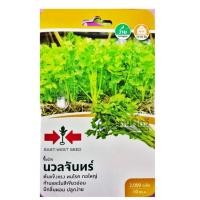 ราคา เมล็ดขึ้นฉ่าย พันธุ์นวลจันทร์ ตราศรแดงGG (5265055730)