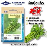 ราคา ผักบุ้งแก้วเย็นตาโฟ #เมล็ดพันธุ์ผักบุ้งแก้วเย็นตาโฟ #เจียไต๋ ผักซอง ผักสวนครัว ผักเจียไต๋ ประมาณ 230 เมล็ด (50452312154)