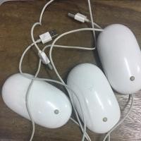 ราคา เม้าส์ apple A1152 3 ตัว ราคา 970 บาท (4318164620)