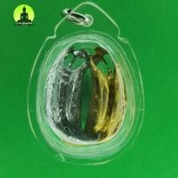 ราคา เล็บครุฑอัดกรอบพลาสติกคู่ สีเงิน สีทองเล็บครุฑ พญาเล็บครุฑ์ พญาเล็บครุฑ จี้ เครื่องราง เครื่องรางเสริมดวง (3872621686)