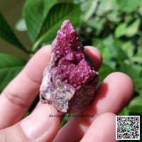 ราคา Cobalto Calcite ผลึกแคลไซต์สีชมพูโคบอลโต (12141651931)