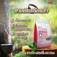 ราคา ปุ๋ยเกล็ดรุ่งอรุณ 22-6-22 ขนาด1กิโล (26136780691)