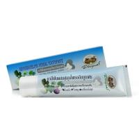 ราคา Abhaibhubejhr Herbal Toothpaste อภัยภูเบศร ยาสีฟันสมุนไพร ขนาด 70 g. (24970211021)