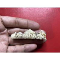 ราคา หัวกระเบนท้องน้ำ ขนาดหัว2.6เซน (11144969719)