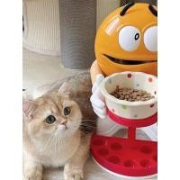 ราคา MM Bean Storage Rackแมวชามหรูหราช็อกโกแลตBeanตุ๊กตาลิปสติกเครื่องประดับตุ๊กตาการ์ตูนชั้นยืนตกแต่ง (24933451688)