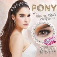 ราคา คอนแทคเลนส์ (สายตา -200) Pony สีน้ำตาล ยี่ห้อ Wink Dia 14.2 (5638063636)
