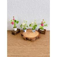 ราคา [พร้อมกระถาง- ราคา / 1 กระถาง]ดอกบัว ดอกบัวดินปั้นจิ๋ว (พร้อมกระถาง01) #Lotus #ดอกไม้จิ๋ว (27430750916)