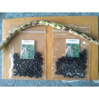 ราคา เมล็ดพันธุ์ถั่วลายเสือพราน (19422541121)