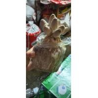 ราคา ก้อนเชื้อเห็ดโคนน้อย 8 ก้อน 80 บาท มีสต๊อคพร้อมส่ง (4039219573)