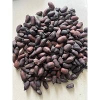 ราคา เมล็ดพันธุ์ถั่วลิสงสีดำ 20 เมล็ด 20บาทถั่วลิสงสีดำจะมีรสชาติหวาน หอม มัน กว่าถั่วลิสงทั่วไป ให้เมล็ดแน่นเต็มฝัก (28590454281)